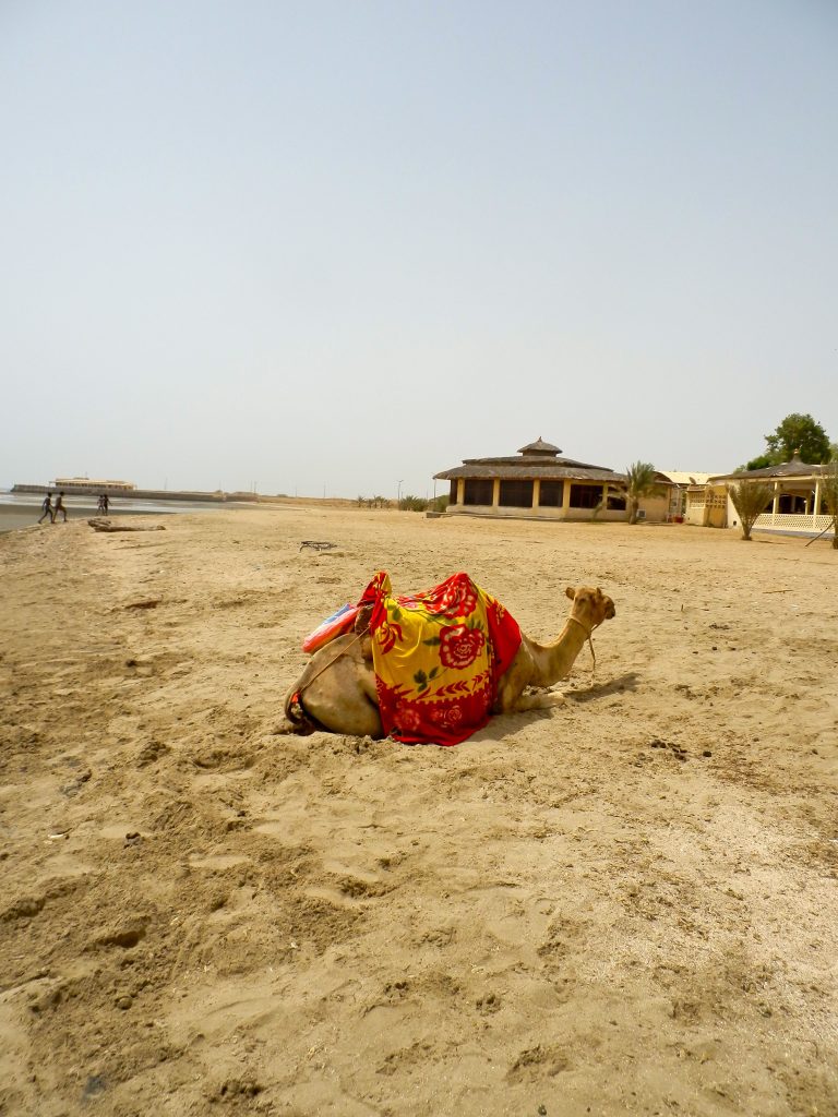 © Eritrea Live, Gurgussum, Massawa