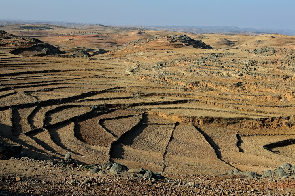 119 Eritrea