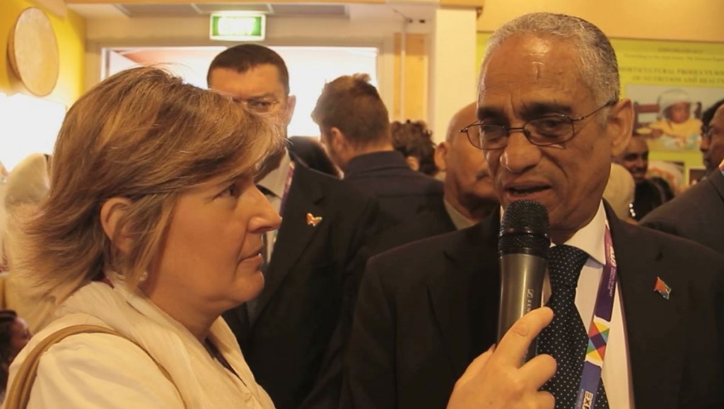 EritreaLive-Expo2015-National-Day-Eritrea-Intervista-allAmbasciatore-Fesshazion-Pietros.jpg