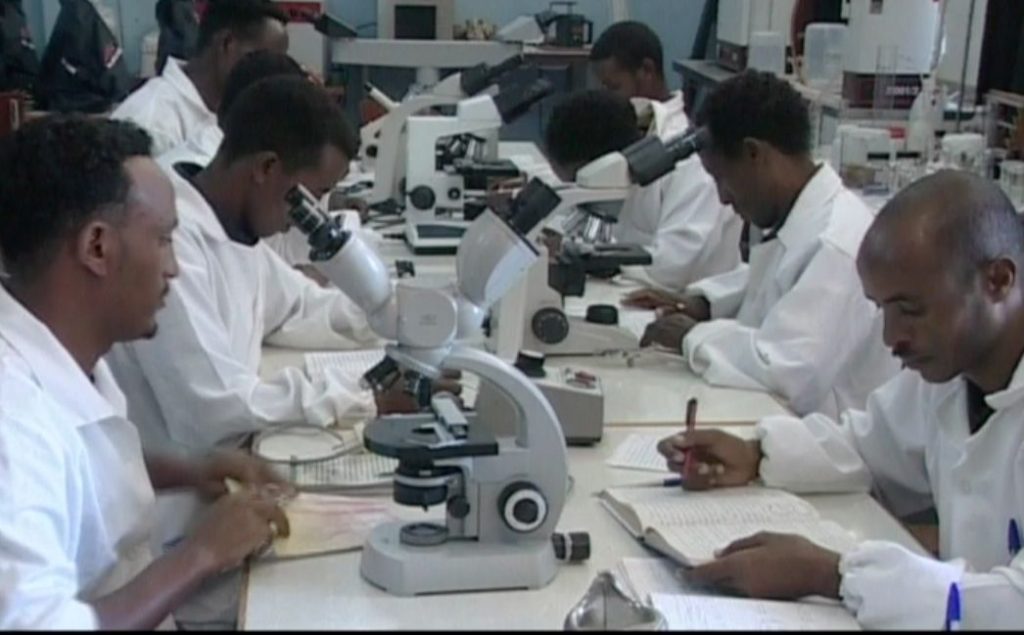 credit-ministero-dellagricoltura-giovani-in-laboratorio